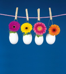 Blumen in einem weißen Topf an einer Leine mit Wäscheklammern befestigt