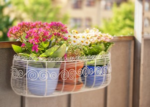 Blumen in einem Hängekorb für den Balkon