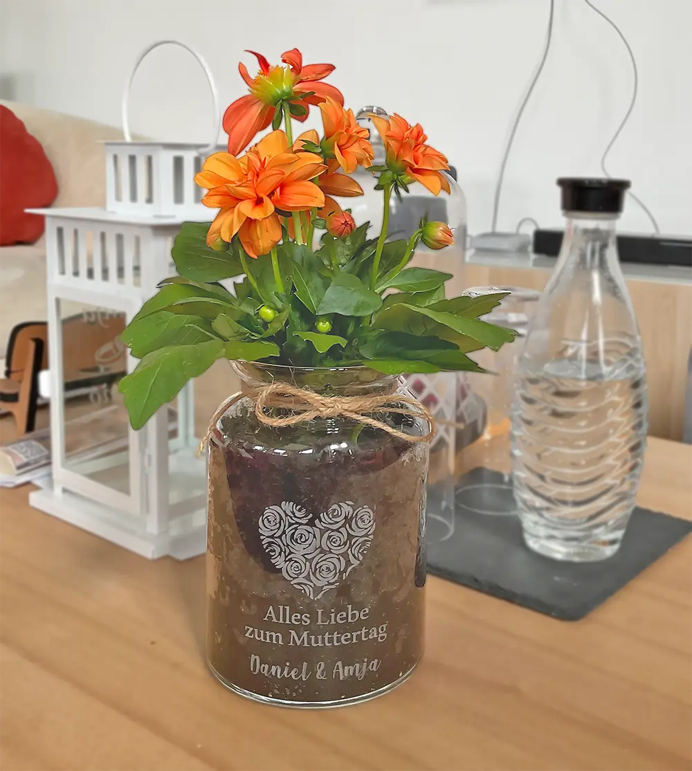 Keksglas als Vase für Pflanze