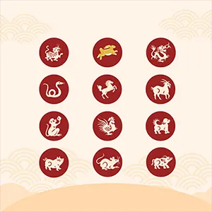 Chinesische Tierzeichen  Teaser